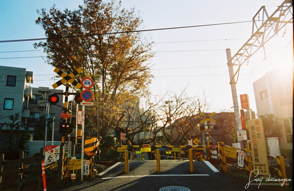 saritchaiwangsa jiyugaoka street walk japan 31